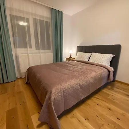 Casa Noua Studio Transilvania